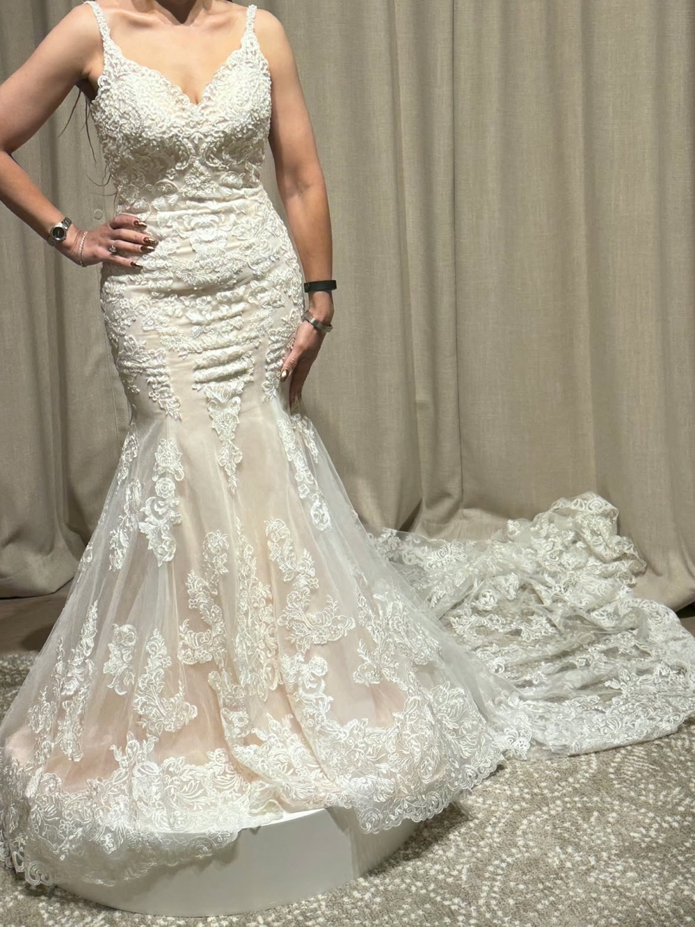 Lace Mermaid Wedding Gown in Ivory/Nude